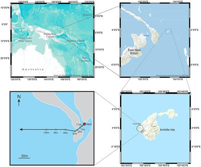 Changes in Eukaryotic and Bacterial Communities along a 120 m Transect Associated with a Shallow Marine Hydrothermal Vent